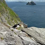Private In Skellig