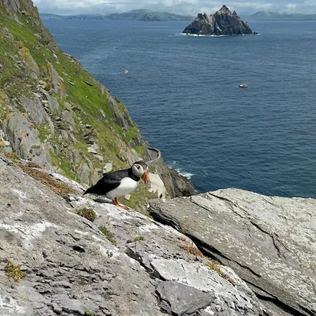 Private In Skellig