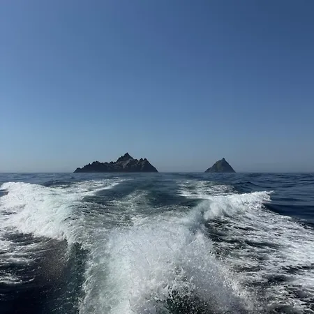 Skellig *